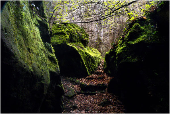 Landschaft 81