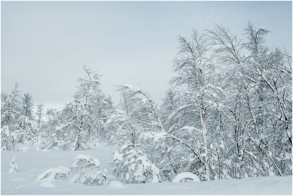 Arctic Circle 03