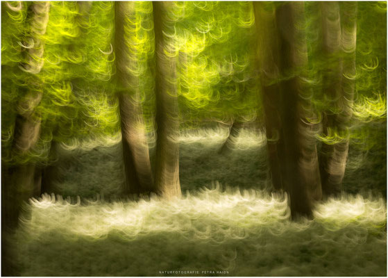 Nature in Motion 02