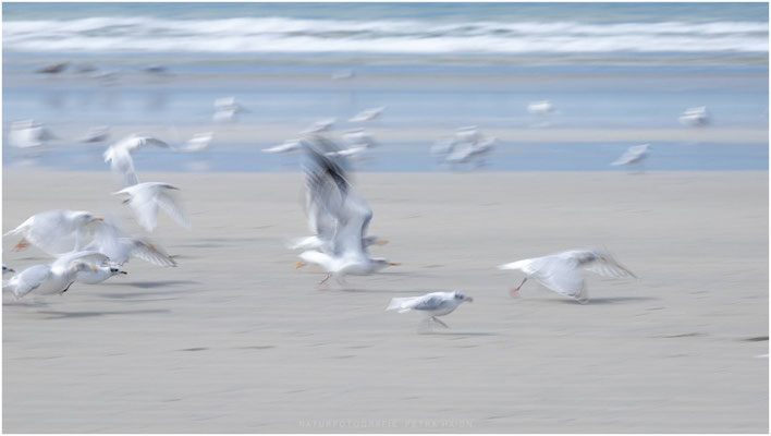 Bretagne 12