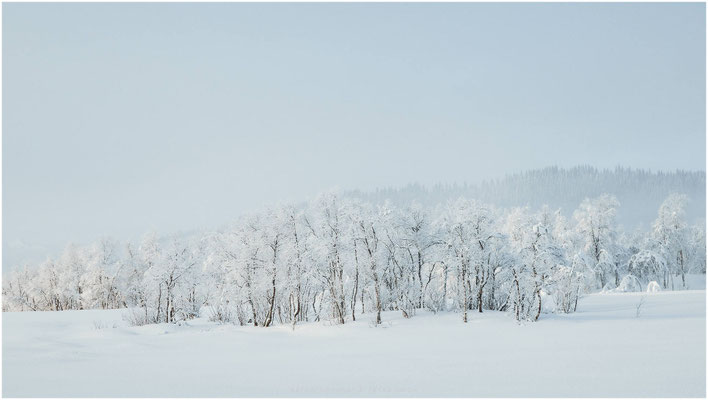 Arctic Circle 04