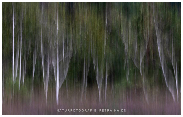 Kreative Natur 26