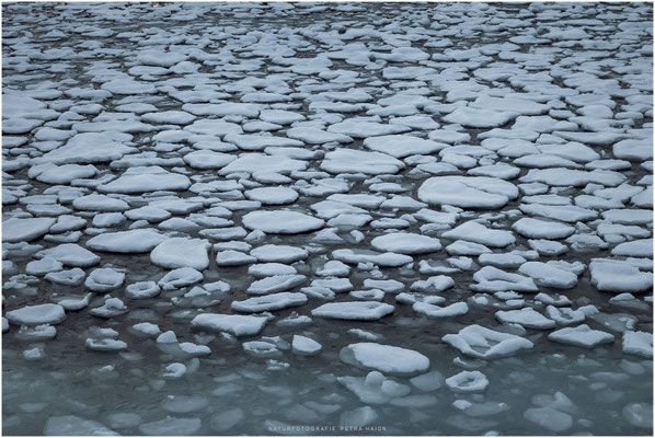 Arctic Circle 13