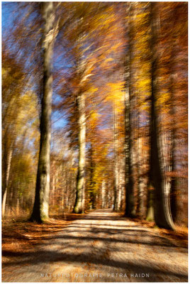 Kreative Natur 21