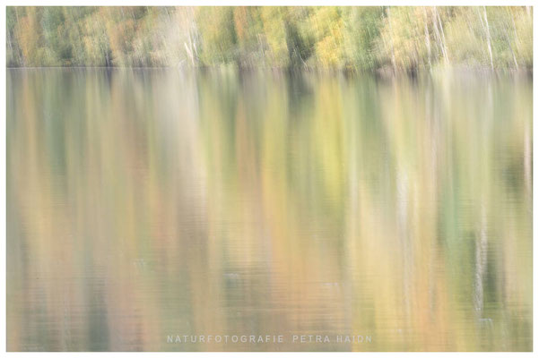 Kreative Natur 03