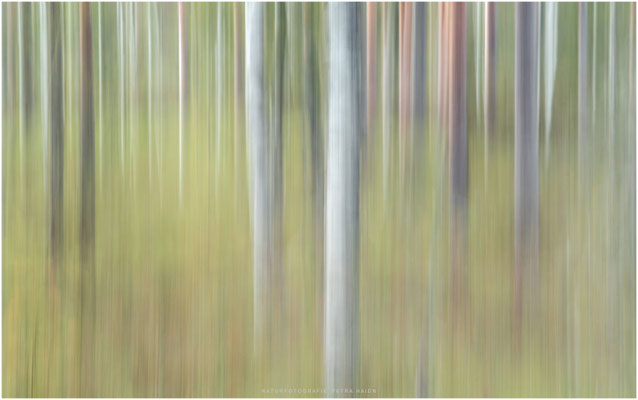 Kreative Natur 58