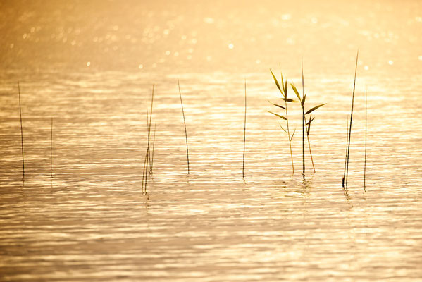 Landschaft 30