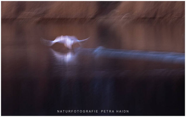 Kreative Natur 70