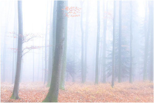 Landschaft 07