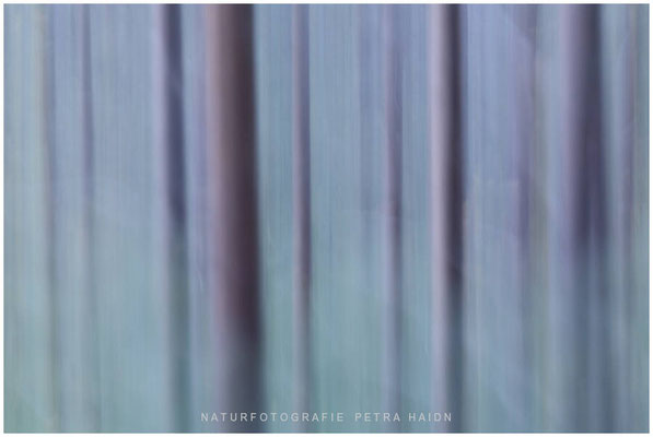 Kreative Natur 17