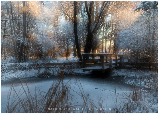 Landschaft 44
