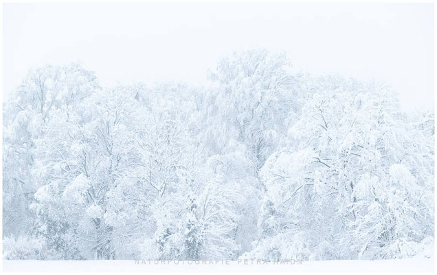 Landschaft 34
