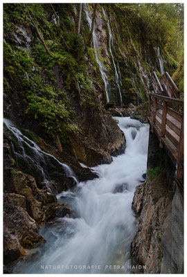 Wasserwelten 43