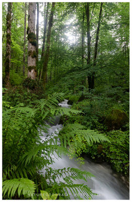 Wasserwelten 22
