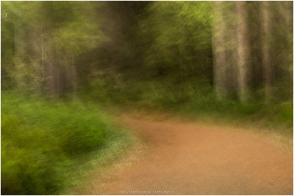 Nature in Motion 06