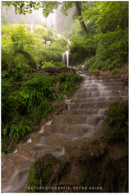 Wasserwelten 15