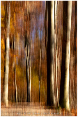 Kreative Natur 22