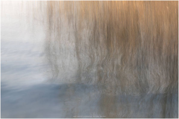 Kreative Natur 01