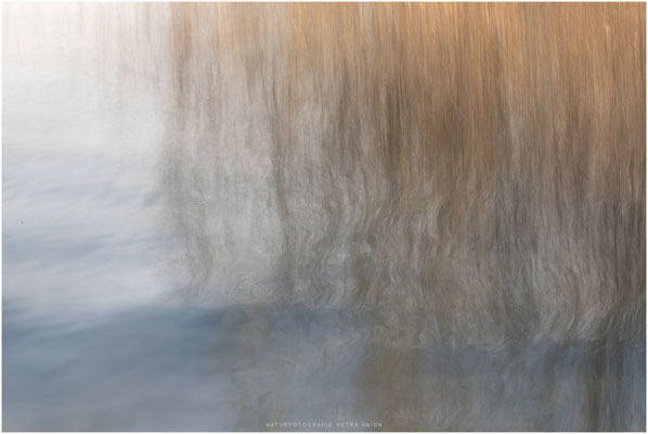 Kreative Natur 01