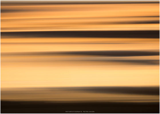 Nature in Motion 04