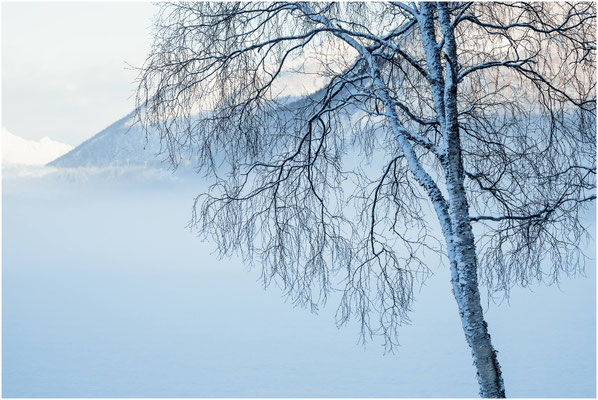 Arctic Circle 02