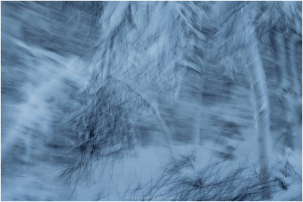Arctic Circle 08