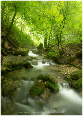 Wasserwelten 21