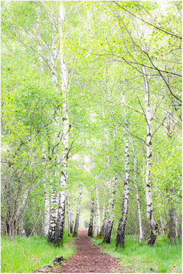 Landschaft 03