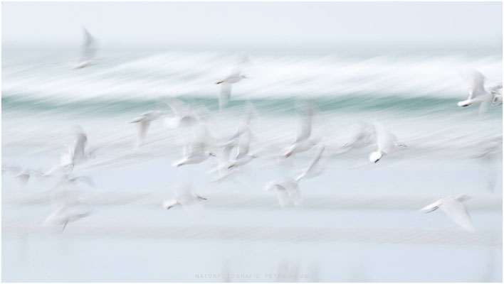 Bretagne 13