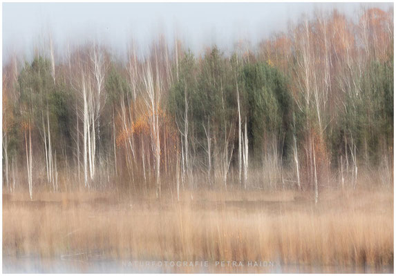 Kreative Natur 71