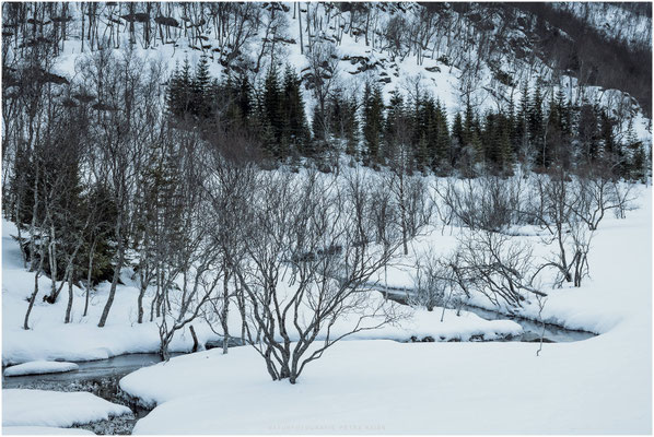 Arctic Circle 01
