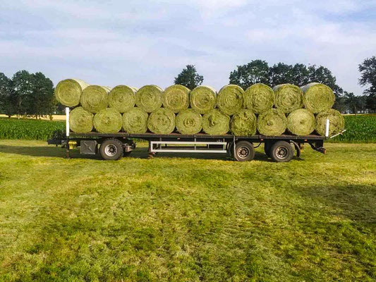 Pferdeheu HD-Strohballen auf Anfrage möglich