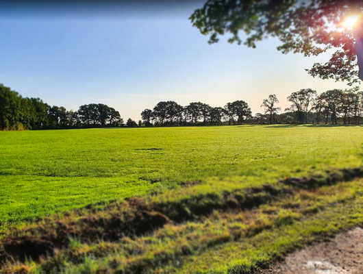 Auf unserem Hof in Fredenbeck-Schwinge bieten wir Ihnen: Stellplatzvermietung, Heuverkauf, Monteurwohnung zur Miete und landwirtschaftliche Dienstleistungen an.