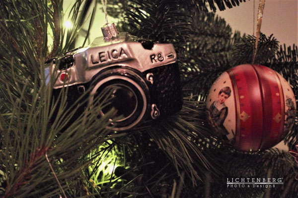 Kamera an der Tanne | Camera in the fir