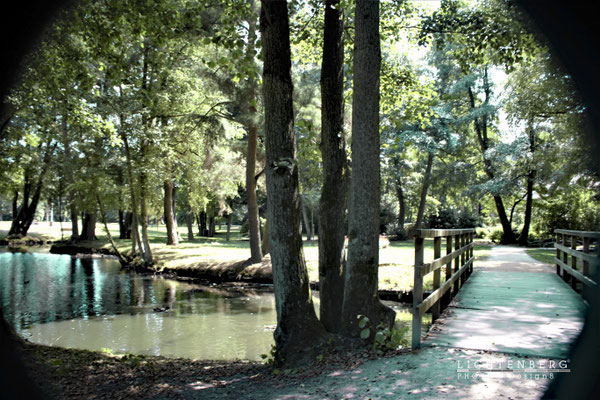 Ruhe im Park am Wasser, Genk