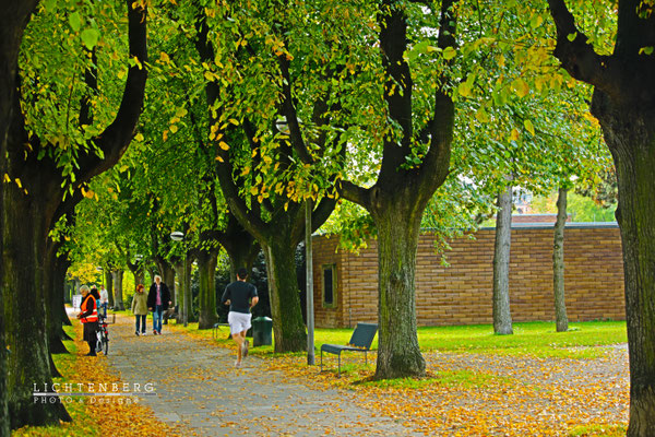 Park-Allee