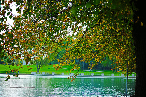Weiher
