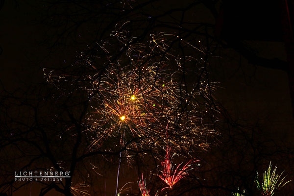 Silvester 2015 - Feuerwerk & Zweige I 