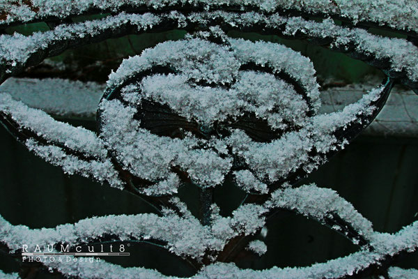 Gesicht des Winters | Face of the winter