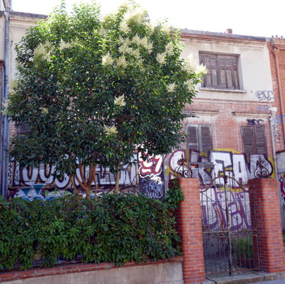 Autre maison fermée rue des Chalets