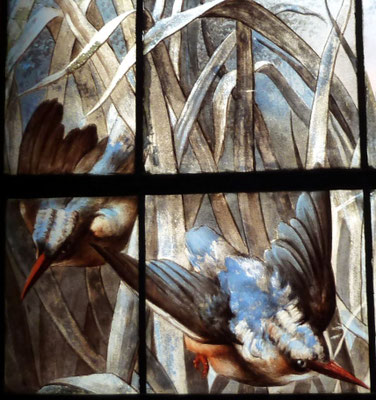 Les martins-pêcheurs font partie des oiseaux à la mode fin 19ème.