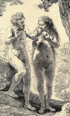 Ist das Paradies noch zu retten? - Rembrandts Radierung "Adam und Eva" - kunstgeschichte-in-einzels Webseite!