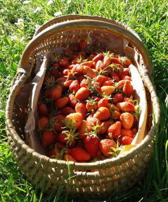 panier de fraises la groie l'abbé