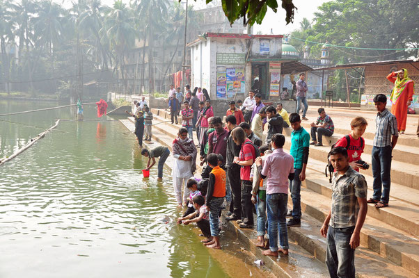 Hindu-bedevaartsplaats in Chittagong: hier voederen ze reuzeschildpadden