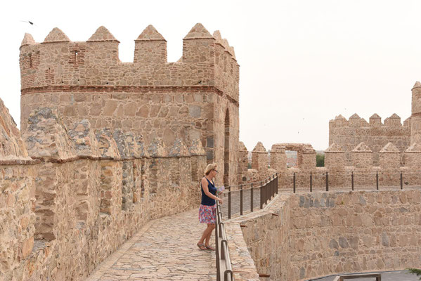 Bovenop de omwalling