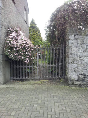 Gate in Slane, Co. Meath