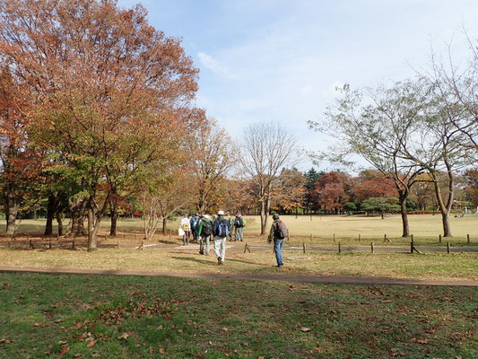 小金井公園は広い！