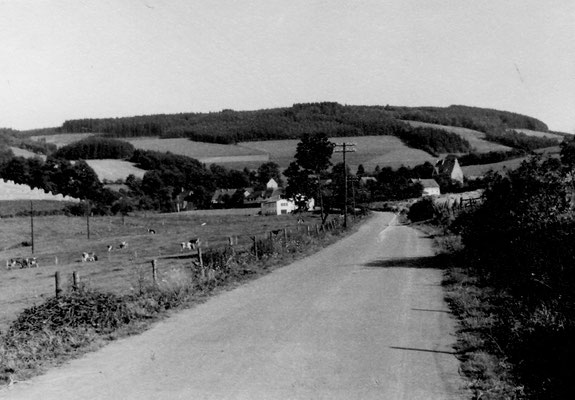 Bild Thorsten Conze: Altenilpe 1958 von Nierentrop aus Blick auf Schützenhalle und alte Schule