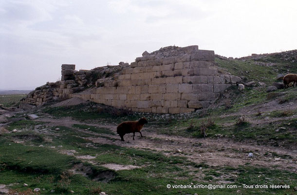 [003-1983-31] Ksar Mdoudja (Civitas A ........) : Fort byzantin et ses bassins hydrauliques