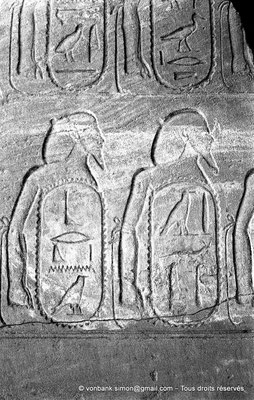 [NB078-1973-38] Karnak - Ipet-Sout : "cartouches forteresses" qui contiennent les noms des peuples vaincus (Thoutmôsis III)